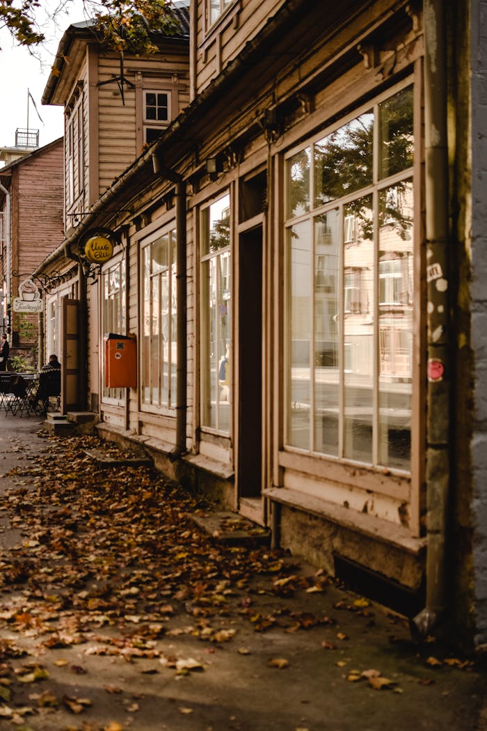 services-01 Charming wooden architecture and fallen leaves capture autumn in Tartu's streets.
